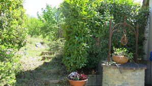Um jardim com um muro de pedra, degraus de madeira e plantas em vasos.