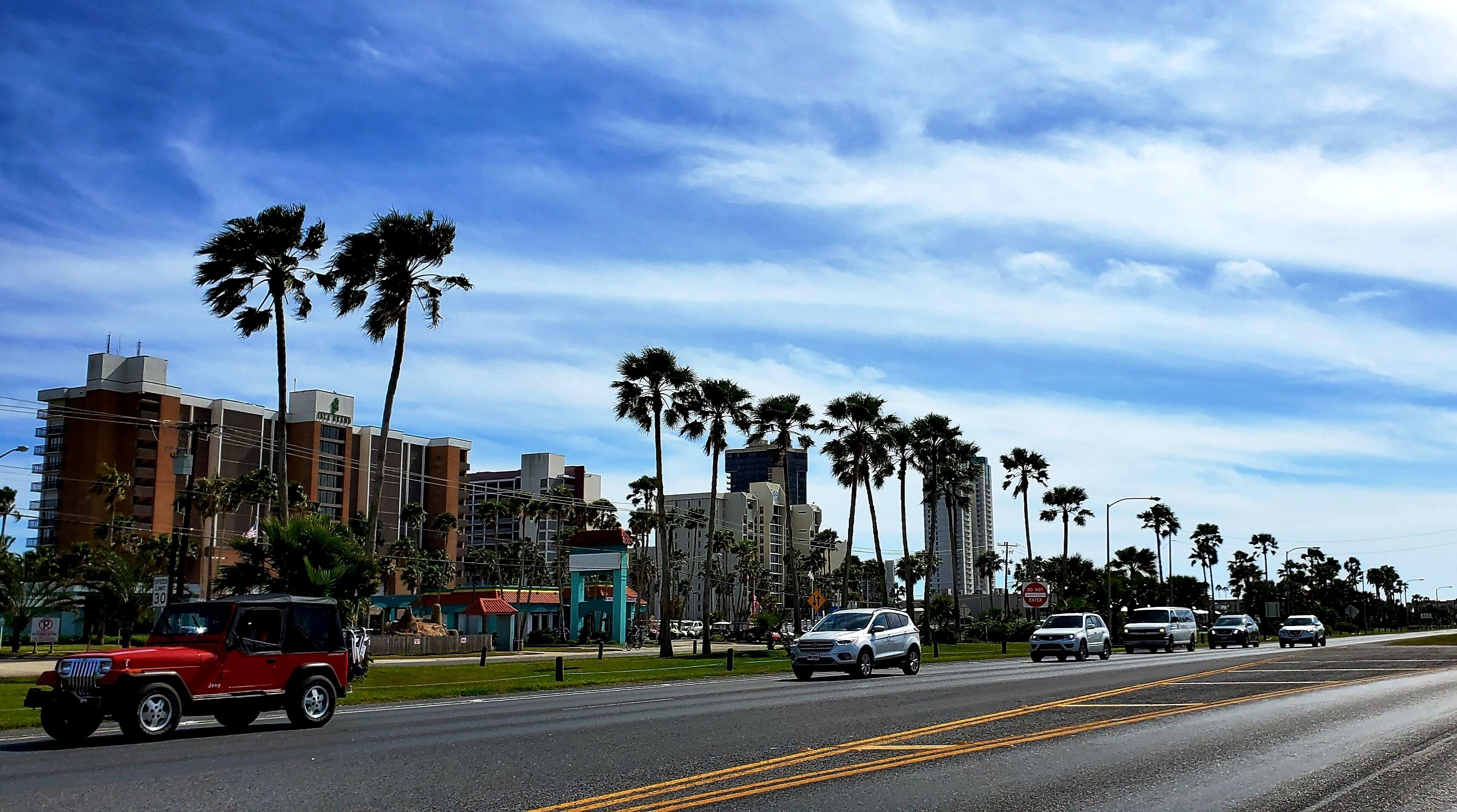 A city street with palm trees, buildings, and cars.