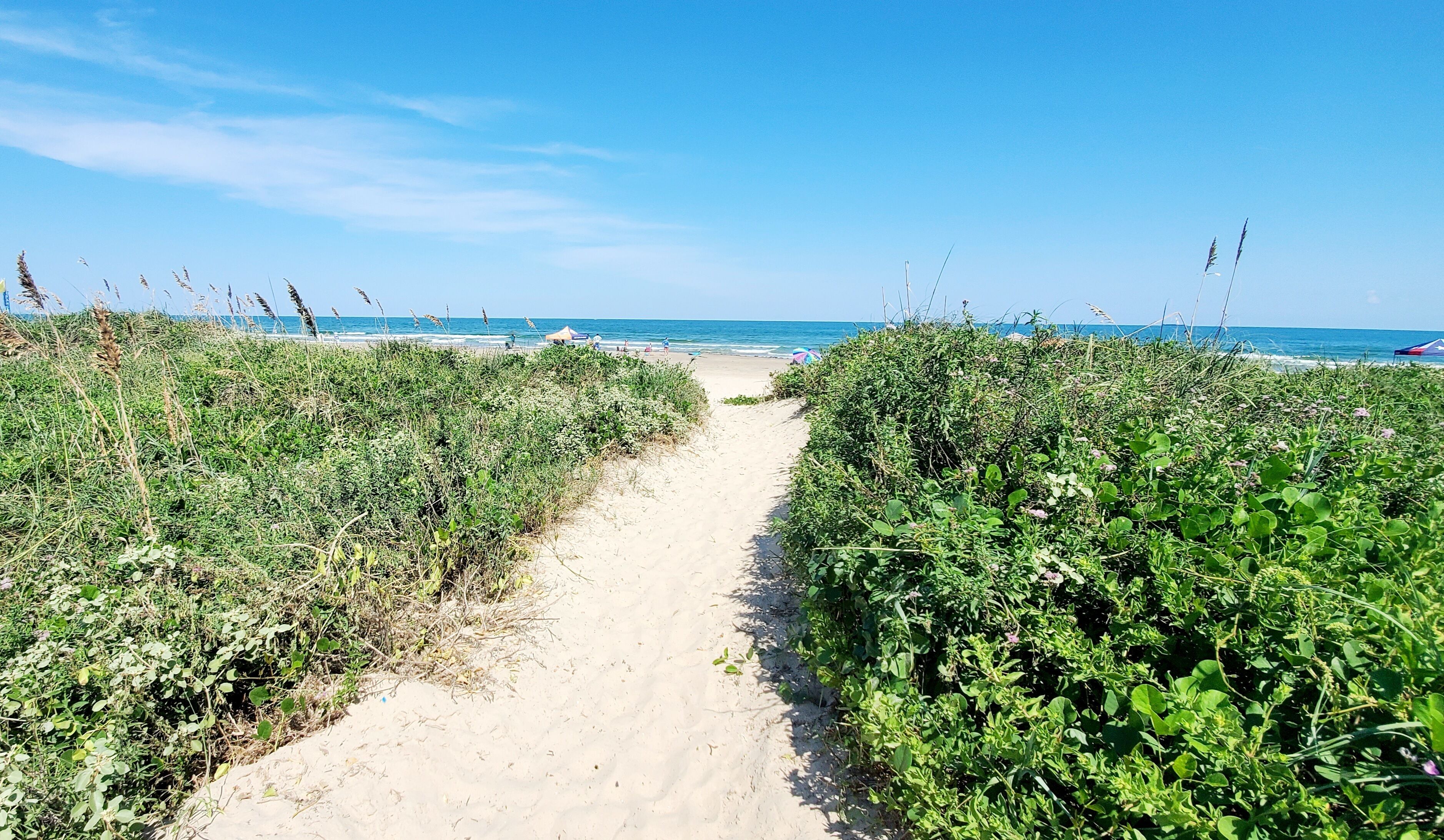 ビーチ、サンラウンジャー、ビーチタオル