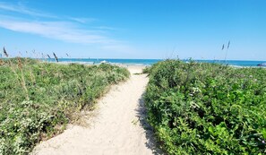 Un sendero arenoso que conduce a una playa, con abundante vegetación a ambos lados.