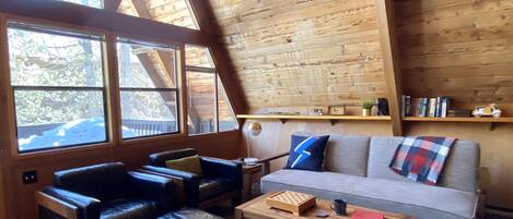 Smart TV, fireplace, books