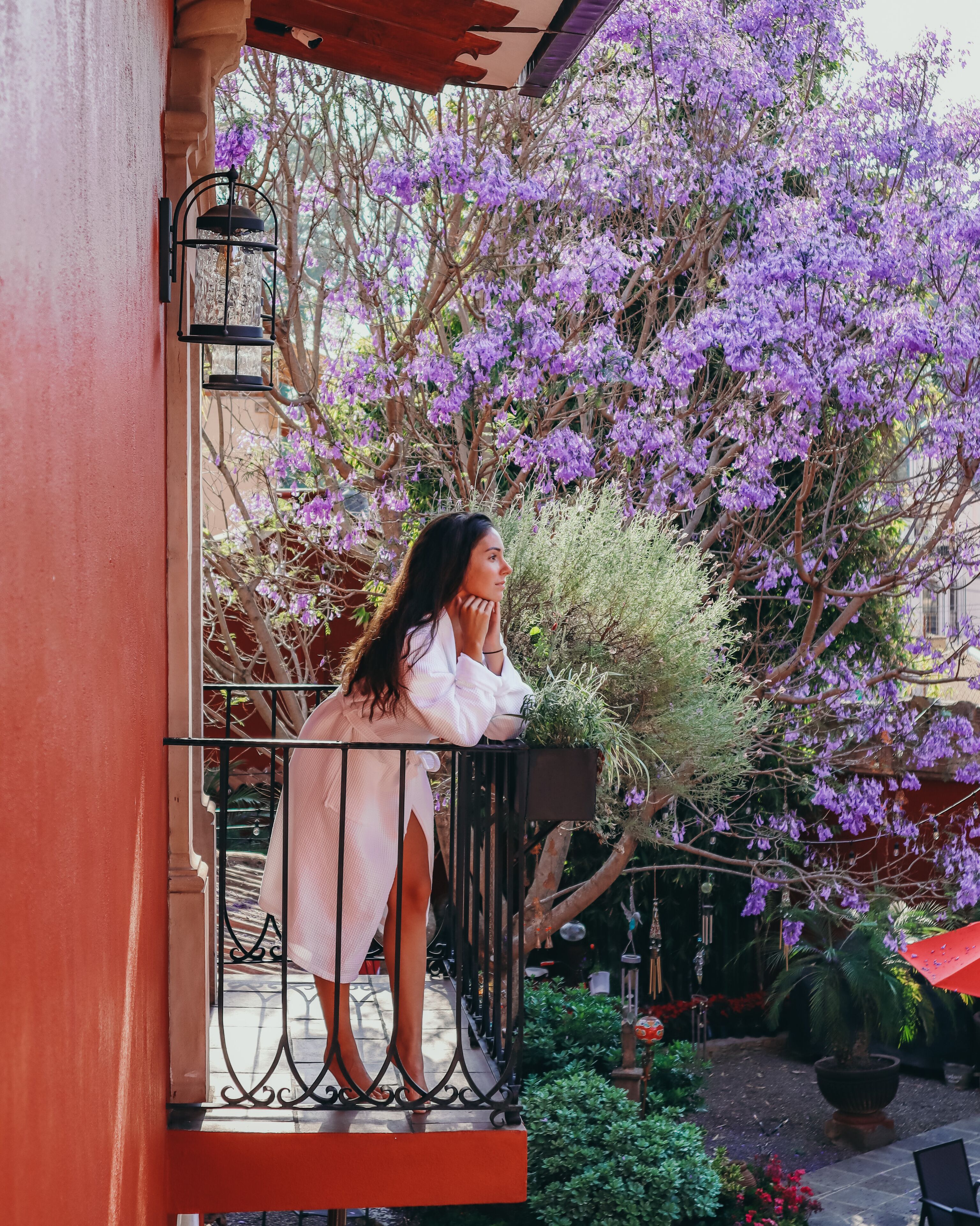 A balcony with a wrought iron railing, a potted plant, and a view of purple flowering trees.