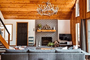 Smart TV, chimenea, reproductor de DVD y libros 