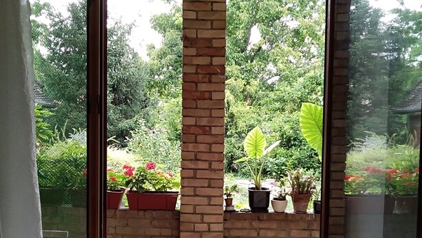 Une pièce dotée d’une grande fenêtre donnant sur un jardin agrémenté de plantes en pot et bordé d’un mur de briques.