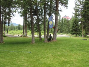 Relax in a serene outdoor setting surrounded by tall trees and a hammock, near a river.