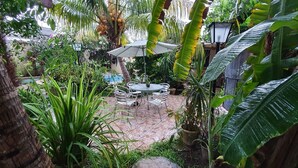 A lush garden with a patio area featuring a table and chairs, surrounded by various plants and a palm tree. - Villas Velarde + Pool + Great Location (cozumel)