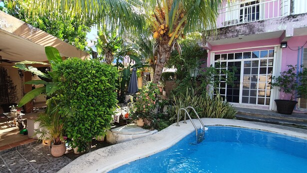 A pool area with a palm tree, potted plants, and a patio with outdoor furniture. - Villas Velarde + Pool + Great Location (cozumel)