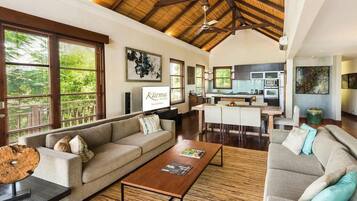 TV, fireplace, music library, video library