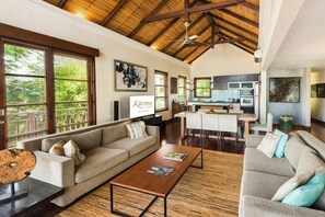 Fernseher, Kamin, Musikbibliothek, Videothek