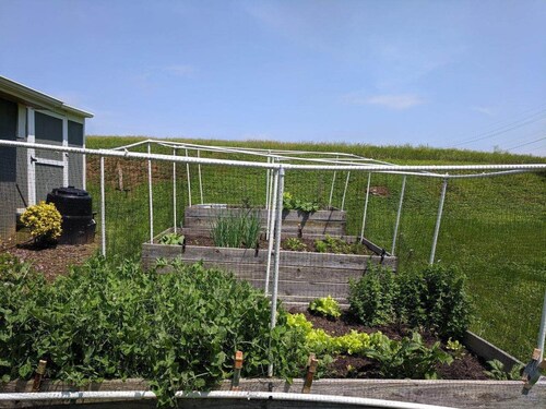 SÄHKÖISET TUOREET KUKKAT, LEIVOTETUT TAVARAT, MUISTIHAMPAAT. 