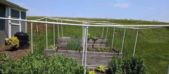 INDULGE - FRESH FLOWERS, MANY AMENITIES