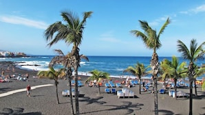 Una playa con palmeras, sillas de descanso y una vista despejada del océano.