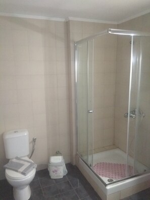 A bathroom with a toilet, a shower with a glass door, and tiled walls. - Pyrgos Sofokleous (Lesvos)