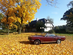 Exterior - Dwor Strzyzew (gmina Kampinos)