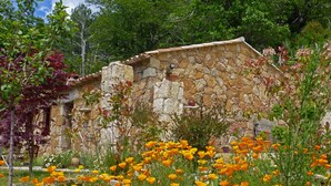 A stone building with a rustic appearance, surrounded by a variety of plants and flowers. - greenery in the chestnut grove. (Tasso)
