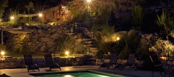 greenery in the chestnut grove.