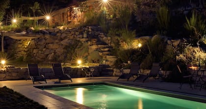 verdure dans la chĂątaigneraie.