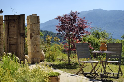 verdure dans la châtaigneraie.