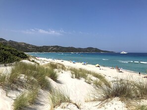 Una playa cerca