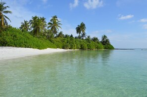 海灘
