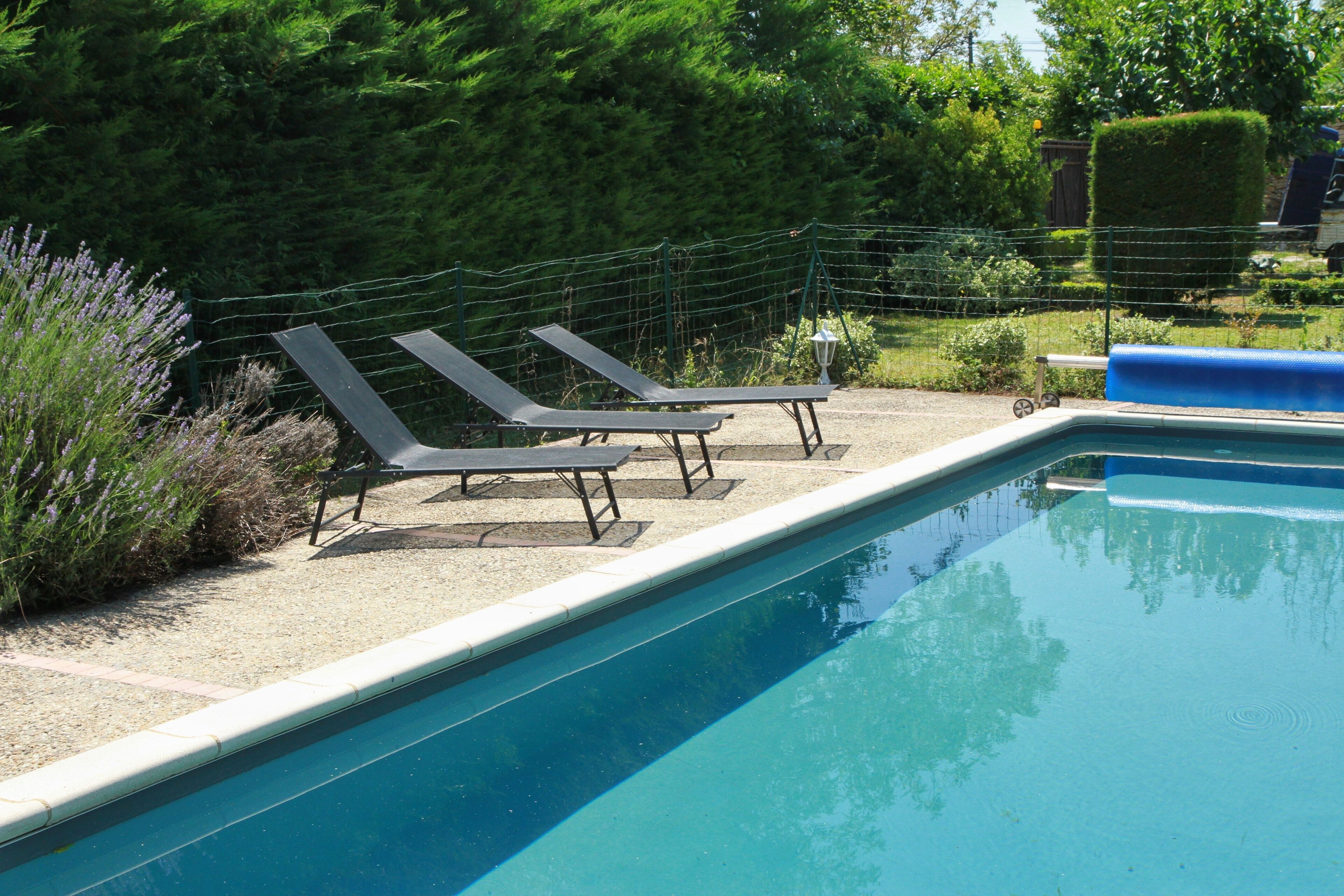 Une piscine avec des chaises longues et un espace aménagé en jardin.