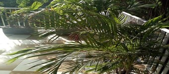 BOLIG 4 VÆRELSER ABIDJAN- PLATEAU