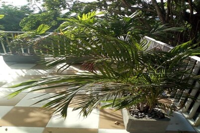 RESIDENCE 4 ROOMS ABIDJAN- PLATEAU