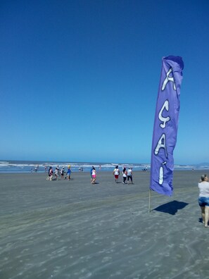 Une plage où l’on voit des gens se promener, et un drapeau violet avec des lettres blanches.