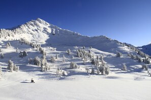 Snow and ski sports - Pracondu 2 504 - OUTDOOR & FUN charming apartment (Haute-Nendaz)