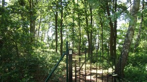 A forested area with a metal gate and a signpost.