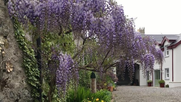 Free self parking - Red Setter Town House B&B (Carlow)