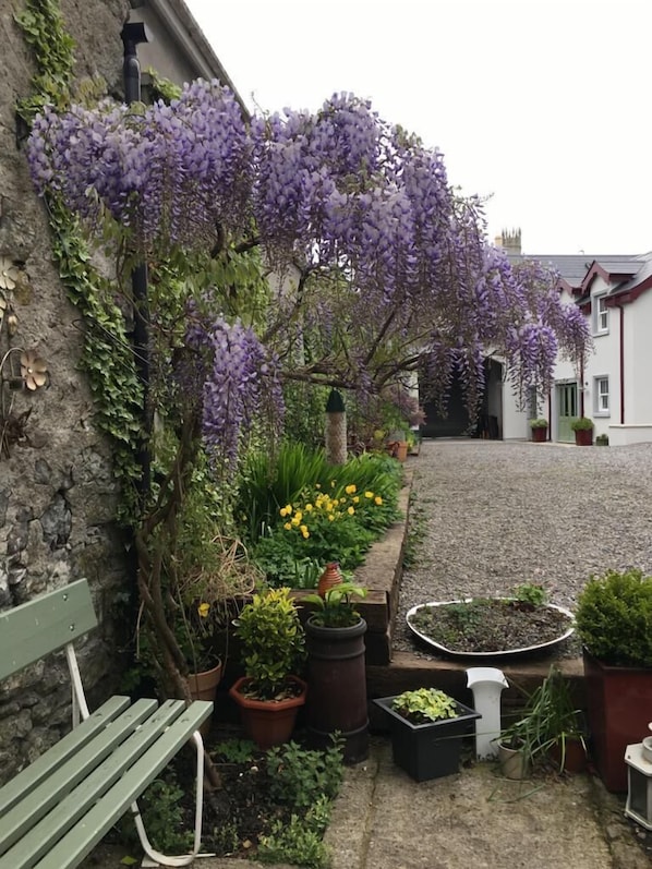 Aparcamiento sin asistencia gratuito