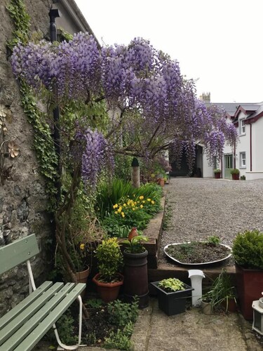 Red Setter Town House B&B