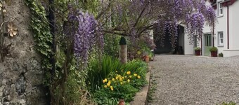 Red Setter Town House B&B