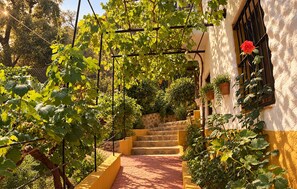 Camí entre vinyes que condueix a un edifici amb una rosa vermella al finestral.