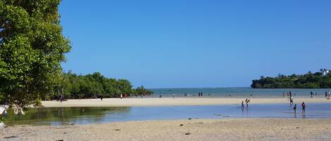 بالقرب من الشاطئ، كراسي للتشمس