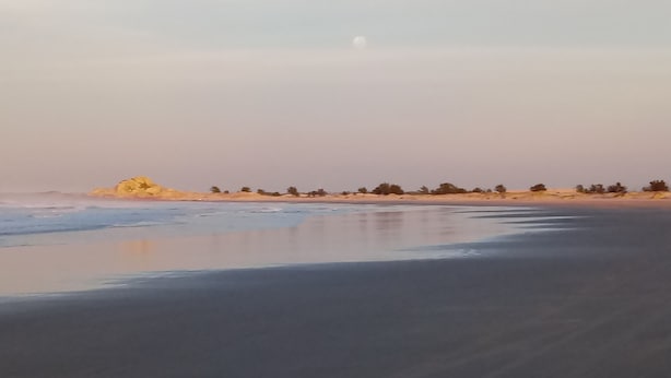 A beach with a calm sea, sandy shore, and sparse vegetation. - Pousada Vento & Cia (Laguna)