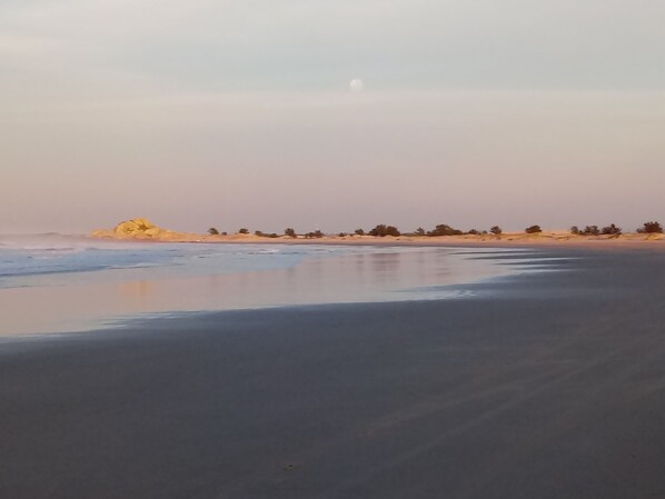 A la platja, gandules de platja i para-sols per a la platja