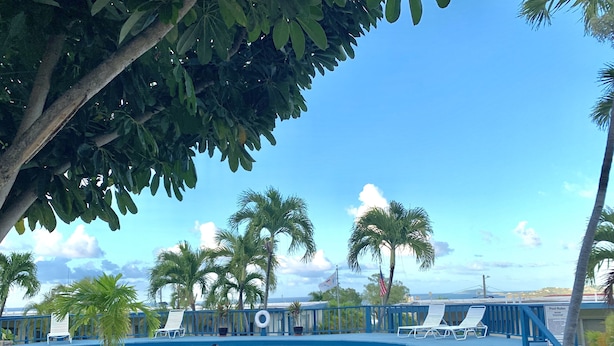 Una piscina con sillas de descanso y palmeras.