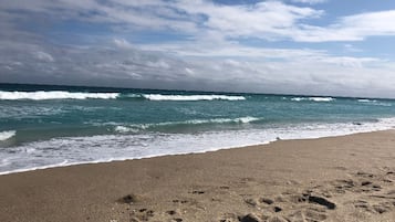 Playa en los alrededores, camastros y toallas de playa