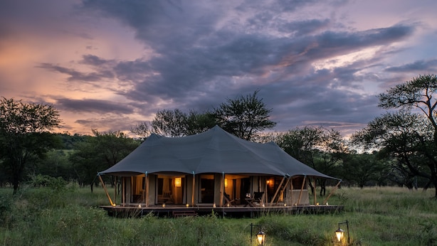 A large, dome-shaped tent with multiple rooms, surrounded by tall grass and trees, under a twilight sky. - Cherero Camp (Serengeti)