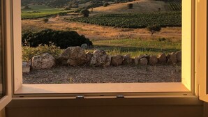 A view through an open window of a vineyard landscape with rolling hills and a mountain in the background.