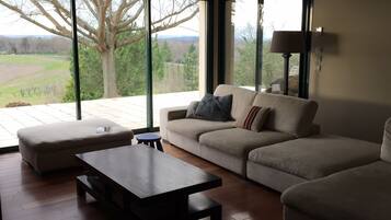 TV, video games, table tennis