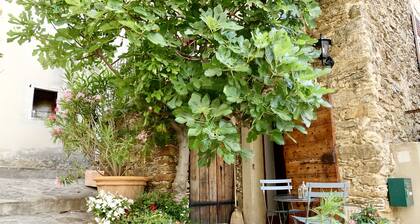 Bormes-Les-Mimosas Village