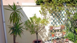 Une plante en pot, un petit arbre et une clôture en treillis ornée de différentes plantes.