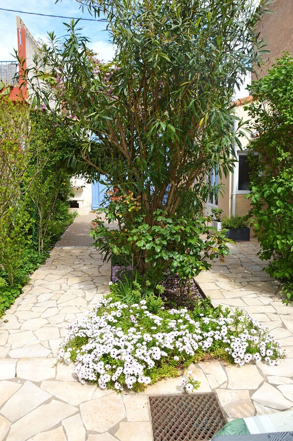 A stone pathway leading to a building with a blue door, surrounded by greenery and flowering plants. - 6 bis rue de Verdun, Vias, 34450 FR (Vias)