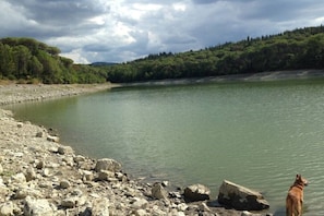 Guests can enjoy serene lakeside views and access to the water's edge.