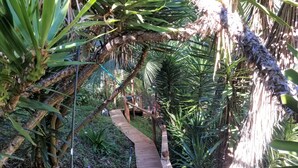 A wooden pathway winding through a lush garden with various tropical plants and a wooden structure in the background.