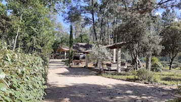 Terrein van de accommodatie