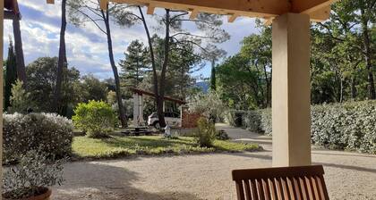 Chalet surrounded by nature 2.5 km from BEDOIN